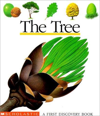 Tapa de Arbre