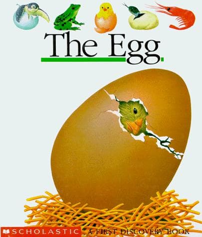 Tapa de The egg