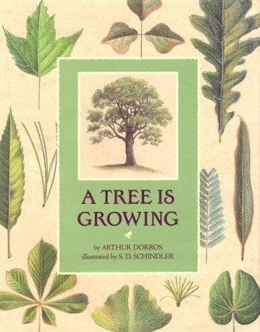 Tapa de A tree is growing