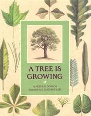 Tapa de A tree is growing