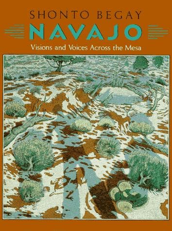 Tapa de Navajo