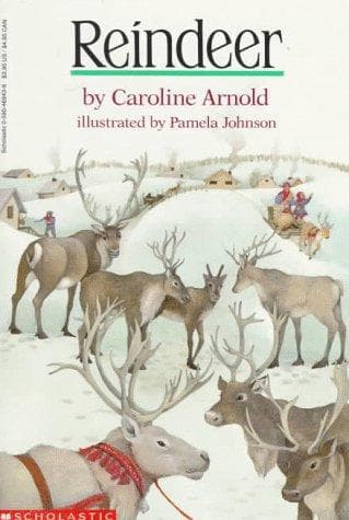 Tapa de Reindeer