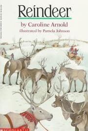 Tapa de Reindeer
