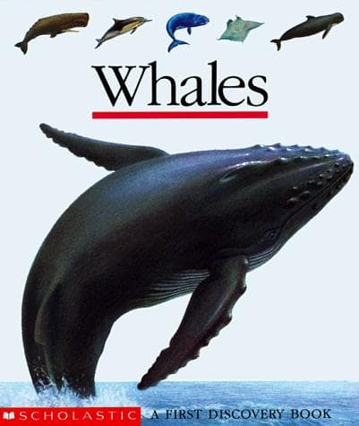 Tapa de Whales