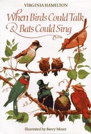 Tapa de When birds could talk & bats could sing