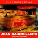 Tapa de The perfect crime