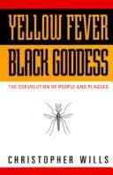 Tapa de Yellow Fever, Black Goddess