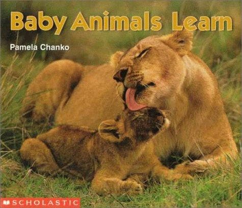 Tapa de Baby animals learn