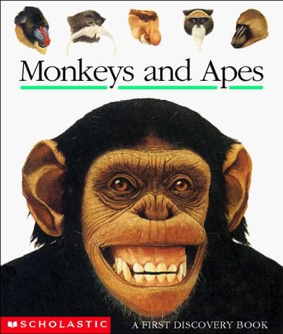 Tapa de Monkeys and apes