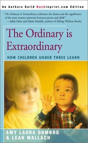 Tapa de The Ordinary Is Extraordinary