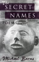 Tapa de The secret names