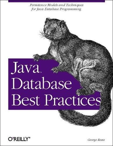 Tapa de Java database best practices