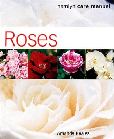 Tapa de Roses