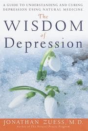 Tapa de The wisdom of depression