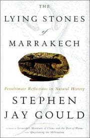 Tapa de The lying stones of Marrakech