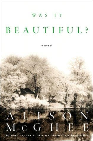 Tapa de Was it beautiful?