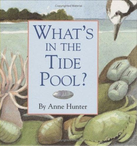 Tapa de What's in the Tide Pool?