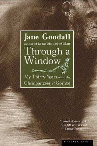 Tapa de Through a Window