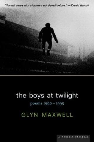 Tapa de The boys at twilight