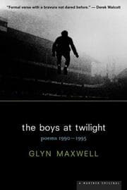 Tapa de The boys at twilight