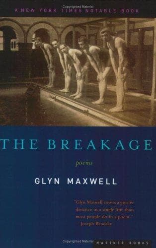 Tapa de The Breakage