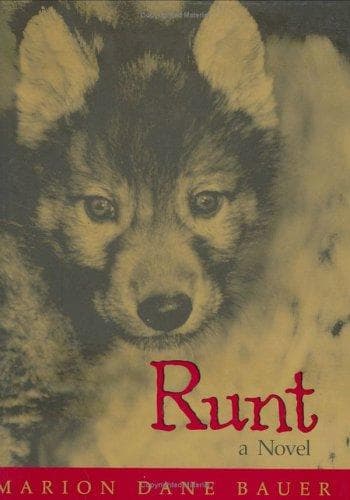 Tapa de Runt