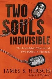 Tapa de Two Souls Indivisible