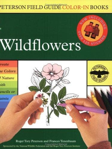 Tapa de Wildflowers