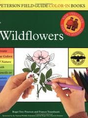 Tapa de Wildflowers