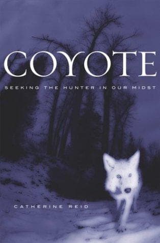 Tapa de Coyote