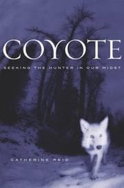 Tapa de Coyote
