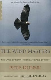 Tapa de The Wind Masters