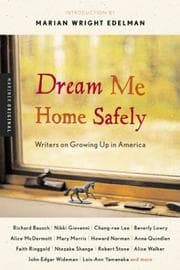 Tapa de Dream me home safely