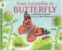 Tapa de From Caterpillar to Butterfly