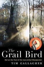 Tapa de The Grail Bird