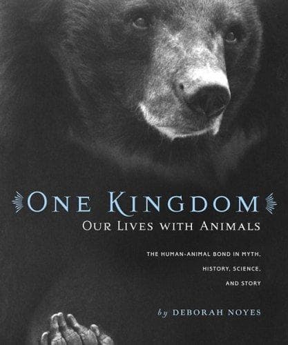 Tapa de One kingdom
