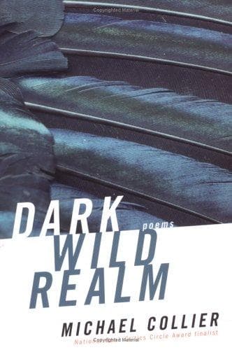 Tapa de Dark wild realm