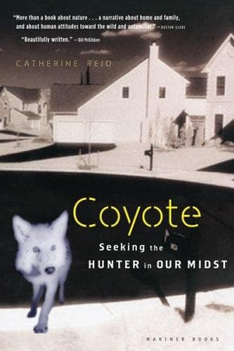 Tapa de Coyote