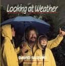 Tapa de Looking at weather