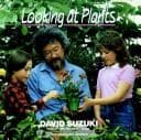 Tapa de Looking at plants