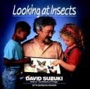 Tapa de Looking at insects
