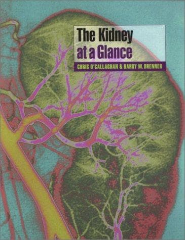 Tapa de The kidney at a glance