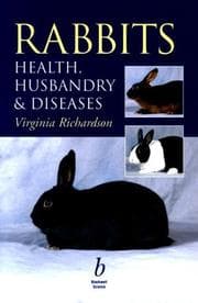 Tapa de Rabbits
