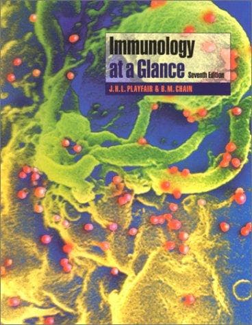 Tapa de Immunology at a Glance