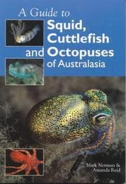 Tapa de Guide to squid, cuttlefish and octopuses of Australasia