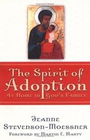 Tapa de The spirit of adoption