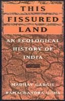 Tapa de This fissured land