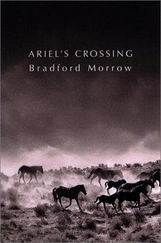 Tapa de Ariel's crossing