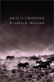 Tapa de Ariel's crossing