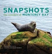Tapa de Snapshots